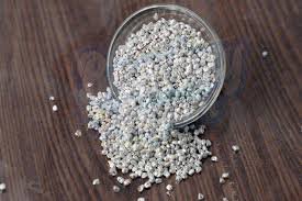 Silver Coated Elaichi